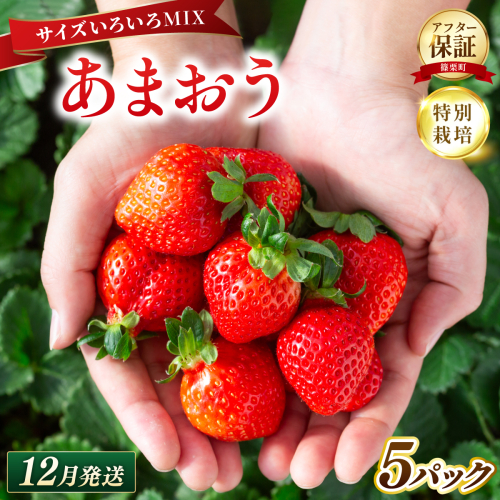 いちご 福岡県産 特別栽培 あまおう サイズいろいろMIX 約1425g（約285g×5パック）【12月発送】| 農園直送 アフター保証 先行予約 福岡産 送料無料 ケーキ ギフト お祝い 限定 季節限定 UN011 2732853 - 福岡県篠栗町