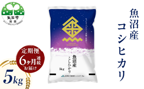 魚沼産 コシヒカリ （精米） 5kg 6回 定期便 2732872 - 新潟県魚沼市