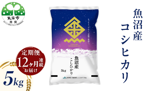 魚沼産 コシヒカリ （精米） 5kg 12回 定期便 2732873 - 新潟県魚沼市