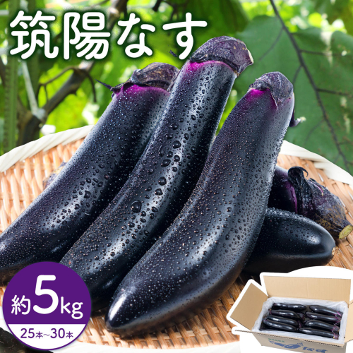 筑陽なす 約5kg 25-30本 さつま園芸組合《7月上旬-9月末頃出荷》鹿児島県 さつま町 茄子 なす ナス なすび 野菜 2732888 - 鹿児島県さつま町