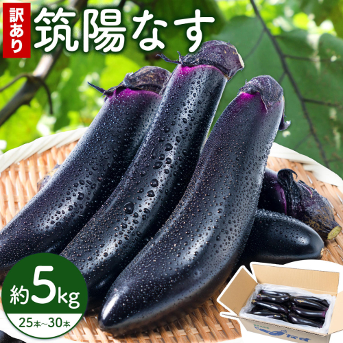 訳あり 筑陽なす 約5kg 25-30本 さつま園芸組合《7月上旬-9月末頃出荷》鹿児島県 さつま町 茄子 なす ナス なすび 野菜 訳アリ ご家庭用 2732931 - 鹿児島県さつま町