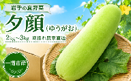 【数量/期間限定】農家直送 一関市産 夕顔 1本 2～3kg ゆうがお 国産 夏野菜 野菜 郷土食材 煮物用 岩手県 一関市