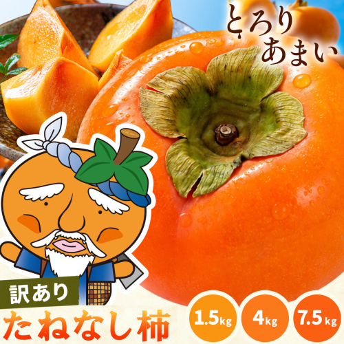 柿 果物 訳あり たねなし柿 1.5kg 4kg 7.5kg 《2026年9月末から10月末出荷予定》 旬 送料無料 徳島県 上板町 フルーツ かき カキ くだもの 刀根早生柿 平種無柿 2733012 - 徳島県上板町