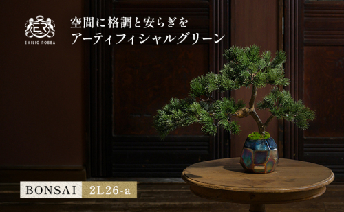 BONSAI  2L26-a TUTGA-80300 2733051 - 三重県名張市