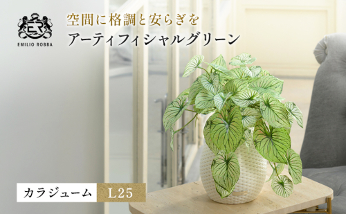 カラジュームL25 TUTEB-37200 2733052 - 三重県名張市