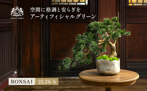 BONSAI  2L26-b TUTGA-81400 2733053 - 三重県名張市