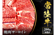 予約受付【和牛セレブ】常陸牛 焼肉 サーロイン 200g×6袋 茨城県共通返礼品｜常陸牛 サーロイン 焼肉 [2281]