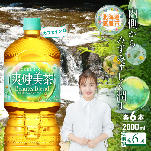 『定期便：全6回』爽健美茶2000mlPET×6本【38000902】 2733284 - 北海道恵庭市