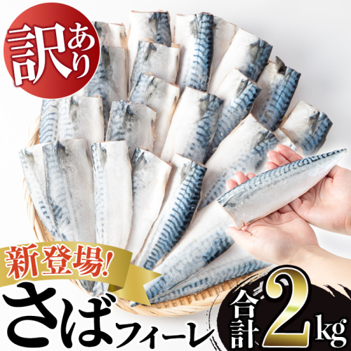 No.1383-B  訳あり！無塩とろさばフィーレ(約2kg) 干物 さば サバ 鯖 魚介類 魚 訳アリ 人気 フィレ 不揃い 冷凍 切り身 切身 おかず 惣菜 お弁当 無塩 便利 【みのだ食品】 2733288 - 鹿児島県日置市