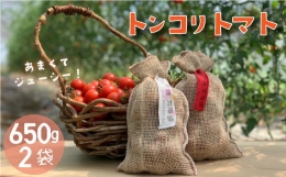 【ふるさと納税】【2024年産予約受付】 のんの畑北海道トンコリトマト フルーツトマト