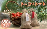 【2024年産予約受付】 のんの畑北海道トンコリトマト フルーツトマト