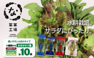 葉野菜 サラダ おまかせ3種セット ロロロッサ ルッコラ ほうれん草 みずな | ほうれんそう ホウレンソウ 水菜 ミズナ 生食 野菜 セット 新鮮 健康 人気 おすすめ 高知県 南国市