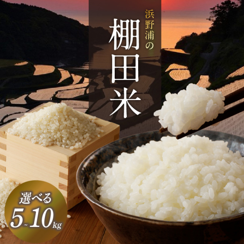 浜野浦の棚田米 ／ コシヒカリ 米 お米 精米 白米 新米 こしひかり ご飯 棚田 産地直送 数量限定 佐賀県 玄海町 常温 2733538 - 佐賀県玄海町