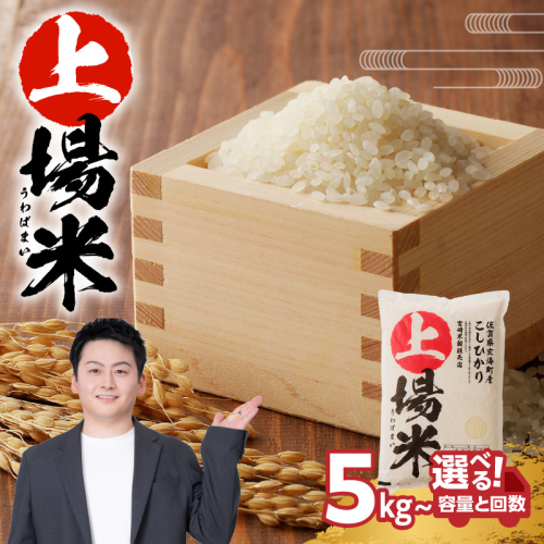 佐賀県玄海町産こしひかり 上場米 ／ コシヒカリ こしひかり 米 お米 精米 白米 新米 ご飯 棚田 上場米 数量限定 佐賀県 玄海町 常温 送料無料 2733539 - 佐賀県玄海町