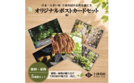 ＜ふるさと納税限定＞十津川村風景ポストカードセット 5枚入り　動物・植物【1760842】