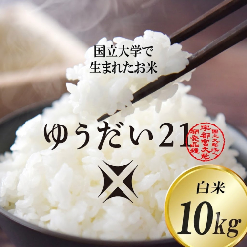 TVでも話題のお米 ゆうだい21 ＼令和8年産／【数量限定】あい　farm　やなぎのお米　令和8年産 ゆうだい21 白米 10kg | 栃木県 益子町 ふるさと納税 お米 米 10kg 白米 (DQ006-1) 2733671 - 栃木県益子町