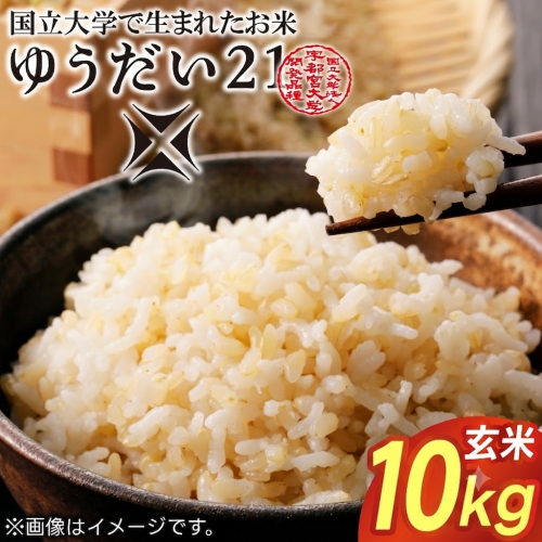 TVでも話題のお米 ゆうだい21 ＼令和8年産／【数量限定】あい　farm　やなぎのお米　令和8年産 ゆうだい21 玄米 10kg | 栃木県 益子町 ふるさと納税 お米 米 10kg 玄米 (DQ008-1) 2733731 - 栃木県益子町