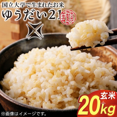 TVでも話題のお米 ゆうだい21 ＼令和8年産／【数量限定】あい　farm　やなぎのお米　令和8年産 ゆうだい21 玄米 20kg | 栃木県 益子町 ふるさと納税 お米 米 20kg 玄米 (DQ008-2) 2733732 - 栃木県益子町