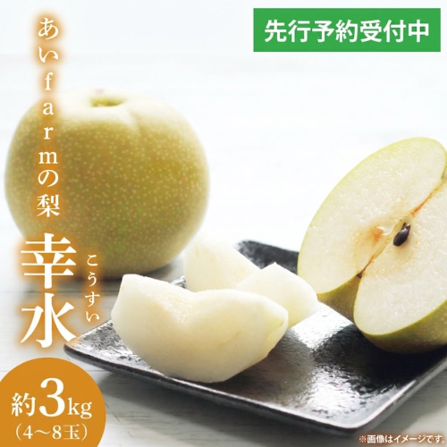 【先行予約】【数量限定】あい farm の梨 幸水 3kg (4～8玉) | 8月中旬より順次発送 梨 なし フルーツ 果物 新鮮 旬 梨園 益子町産 (DQ010) 2733733 - 栃木県益子町