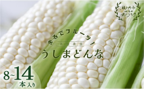 2027年 先行予約 牛窓産 とうもろこし  うしまどんな（8～14本入り） まるでフルーツ！ 生で甘い、茹でて美味い！ 白色とうもろこし 約3kg 野菜 ホワイトコーン 夏野菜 おやつ 間食 お弁当 バーベキュー BBQ 髙田農園 2733900 - 岡山県瀬戸内市