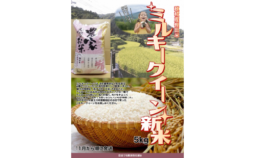 A407穂積産棚田米「ミルキークイーン」5kg数量限定 273398 - 山梨県富士川町