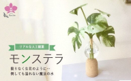 倒してもこぼれないお水 癒しのグリーン「モンステラ」光触媒
