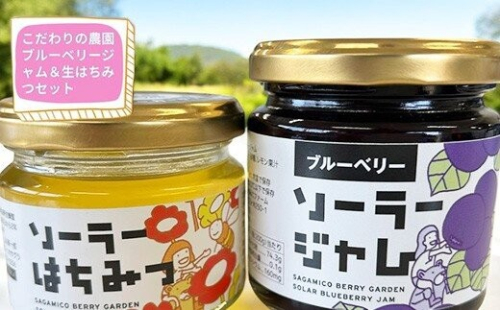 【相模原の山のめぐみ】ブルーベリージャム&「生」はちみつセット 2734129 - 神奈川県相模原市