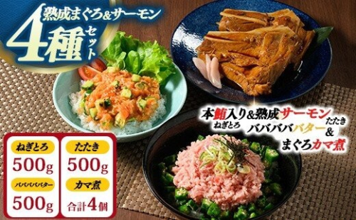 【県水の熟成まぐろ】熟成本鮪入りねぎとろ、熟成サーモンたたき、バババババター、まぐろカマ煮詰め合わせセット（本鮪入りたたき、サーモンたたき各500g×1、バババババター500g×1、まぐろカマ煮2個入り×2） |  鮪 まぐろ 脂 たたき まぐろのたたき メバチ キハダ 寿司 すし 海鮮 小分け 海鮮丼 手巻き寿司 神奈川 相模原 ※北海道・沖縄・離島への配送不可 2734140 - 神奈川県相模原市