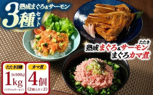 【県水の熟成まぐろ】漁師作りプレミアム、熟成サーモンたたき、まぐろカマ煮詰め合わせセット（まぐろたたき、サーモンたたき各500g×1、まぐろカマ煮2個入り×2） |  鮪 まぐろ 脂 たたき まぐろのたたき メバチ キハダ 寿司 すし 海鮮 小分け 海鮮丼 手巻き寿司 神奈川 相模原 ※北海道・沖縄・離島への配送不可 2734145 - 神奈川県相模原市