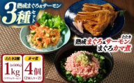 【県水の熟成まぐろ】漁師作りプレミアム、熟成サーモンたたき、まぐろカマ煮詰め合わせセット（まぐろたたき、サーモンたたき各500g×1、まぐろカマ煮2個入り×2） |  鮪 まぐろ 脂 たたき まぐろのたたき メバチ キハダ 寿司 すし 海鮮 小分け 海鮮丼 手巻き寿司 神奈川 相模原 ※北海道・沖縄・離島への配送不可