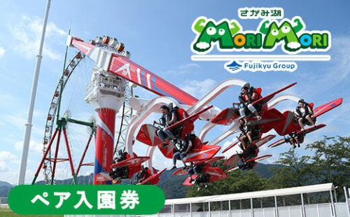 遊園地 キャンプ さがみ湖MORI MORI 【神奈川県 相模湖東ICから7分】ペア入園券 関東最大級イルミネーション「さがみ湖イルミリオン」雪遊び広場「スノーパラダイス」水の楽園「じゃぶじゃぶパラダイス」 神奈川 相模原 相模湖リゾート 2734162 - 神奈川県相模原市