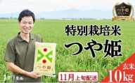 11月上旬配送／令和8年産【玄米】つや姫マイスターが作った 特別栽培米『つや姫』10kg(5kg×2袋)［減農薬・減化学肥料］ MA SC0735