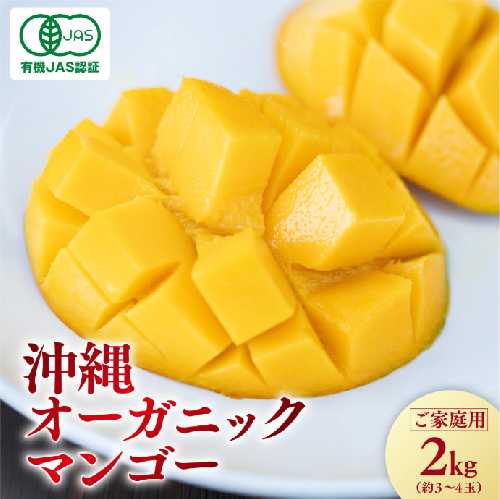 有機JAS認証　沖縄オーガニックマンゴー【ご家庭用・2kg（3〜4玉）】  2734275 - 沖縄県南城市