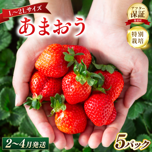 いちご 福岡県産 特別栽培 あまおう L～2Lサイズ（少し小ぶりサイズ）約1425g（約285g×5パック）【2～4月発送】| 農園直送 アフター保証 先行予約 福岡産 送料無料 ケーキ ギフト お祝い 限定 季節限定 UN015 2734276 - 福岡県篠栗町