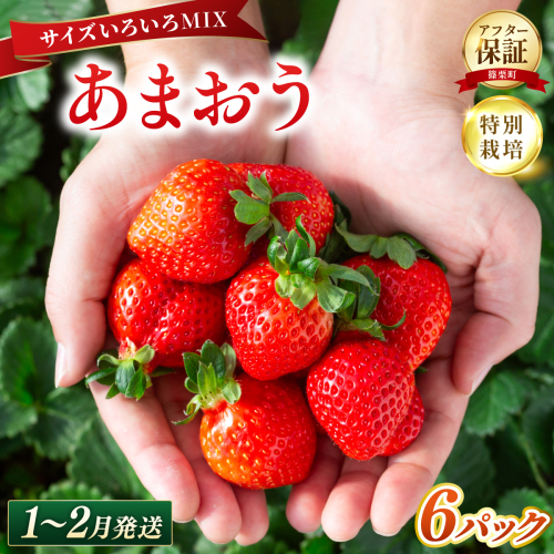 いちご 福岡県産 特別栽培 あまおう サイズいろいろMIX 約1710g（約285g×6パック）【1～2月発送】| 農園直送 アフター保証 先行予約 福岡産 送料無料 ケーキ ギフト お祝い 限定 季節限定 UN017 2734278 - 福岡県篠栗町