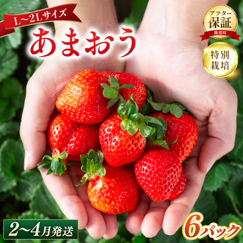 いちご 福岡県産 特別栽培 あまおう L～2Lサイズ（少し小ぶりサイズ）約1710g（約285g×6パック）【2～4月発送】| 農園直送 アフター保証 先行予約 福岡産 送料無料 ケーキ ギフト お祝い 限定 季節限定 UN020 2734281 - 福岡県篠栗町