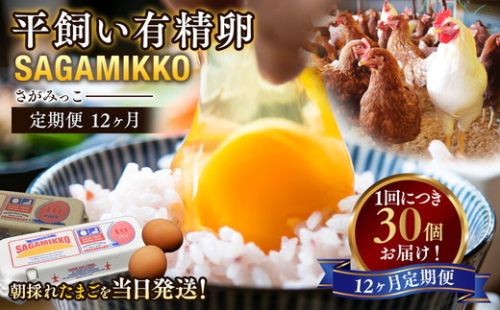 【12ヶ月定期便】 定期便 お楽しみ 毎月届く《かながわブランド認定》 平飼い有精卵 さがみっこ 30個（10個×3パック）×12ヶ月｜ 神奈川県 相模原市 たまご 卵 鶏卵 玉子 生卵 平飼い ケージフリー 有精卵 国産 濃厚 コク 旨味 卵焼き たまごかけご飯 朝食究極の卵 ブランド卵 たまご アニマルウェルフェア  AAランク 健康 ※離島への配送不可 2734489 - 神奈川県相模原市