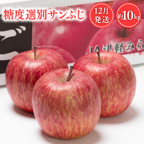 年内 糖度選別サンふじ 約10kg 【青森県 平川市 JA津軽みらい 12月】 青森 青森県産 平川 りんご リンゴ 林檎 くだもの 果物 ふじ フルーツ 〈hi-0001-037〉 2734651 - 青森県平川市