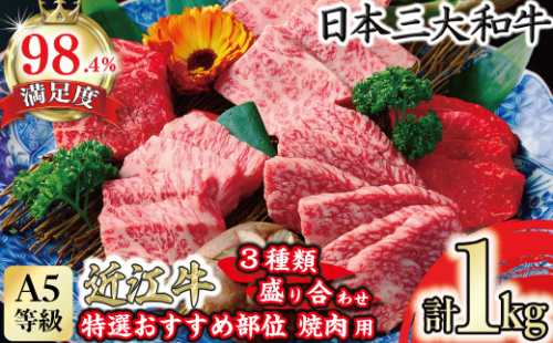 A5等級 未経産雌 特選近江牛おすすめ部位 焼肉3種盛り合わせ 合計1kg【FO04W】	
 2734684 - 滋賀県近江八幡市