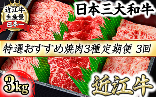 【定期便】A5等級特選近江牛おすすめ部位 焼肉3種（1kg×3回）【FO21W】 2734756 - 滋賀県近江八幡市