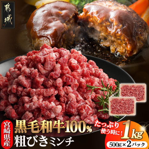 宮崎県産黒毛和牛100％ミンチ(500g×2P)_MJ-E9-002 2734828 - 宮崎県都城市