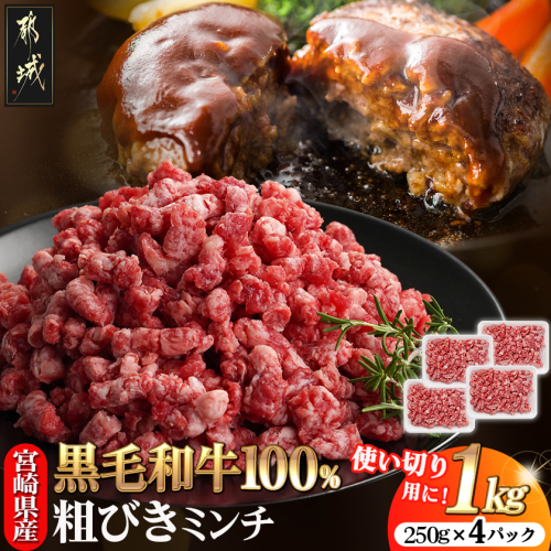 宮崎県産黒毛和牛100％ミンチ(250g×4P)_MJ-E9-003 2734829 - 宮崎県都城市