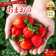 いちご 福岡県産 特別栽培 あまおう サイズいろいろMIX 約570g（約285g×2パック）【2回定期便（2～3月発送）】| 農園直送 アフター保証 先行予約 福岡産 送料無料 ケーキ ギフト お祝い 限定 季節限定 UN021