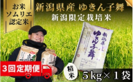 【先行予約】【令和8年産】〈3回定期便〉 【お米ソムリエのお米】 ゆきん子舞 精米 5kg（5kg×1袋） 新潟県 五泉市 エバーグリーン農場