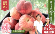 【訳あり】青森県産 桃 約3kg（7～10玉） 【2026年産・先行予約】8月中旬～9月中旬頃まで発送予定 桃 もも モモ あかつき 一宮白鳳 川中島白桃 だて白桃 もも 桃 モモ 人気 桃 もも 新鮮 旬 もも モモ 果物 もも 桃 ピーチ 贈答 ギフト 桃 もも 令和8年発送 もも 桃 モモ 桃 もも 桃 モモ 桃 果物 もも 桃 モモ やまさん農園 青森県 三戸町 AF-26-009
