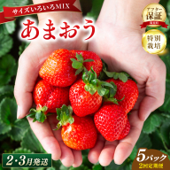 いちご 福岡県産 特別栽培 あまおう サイズいろいろMIX 約1425g（約285g×5パック）【2回定期便（2～３月発送）】| 農園直送 アフター保証 先行予約 福岡産 送料無料 ケーキ ギフト お祝い 限定 季節限定 UN023