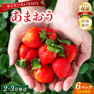 いちご 福岡県産 特別栽培 あまおう サイズいろいろMIX 約1710g（約285g×6パック）【2回定期便（2～3月発送）】| 農園直送 アフター保証 先行予約 福岡産 送料無料 ケーキ ギフト お祝い 限定 季節限定 UN024