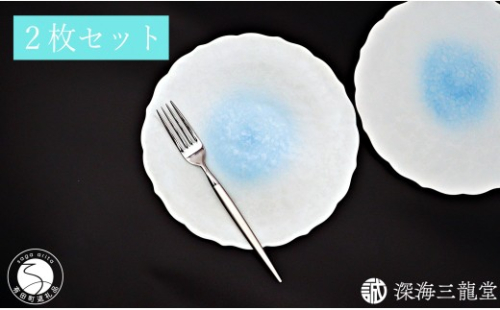 有田焼 白雲桔梗渕 21cm 皿 2枚 セット【深海三龍堂】プレート plate 食器 おしゃれ モダン 和食 洋食 イタリアン パスタ ay114 2734976 - 佐賀県有田町