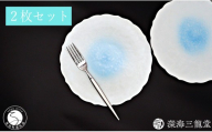 有田焼 白雲桔梗渕 21cm 皿 2枚 セット【深海三龍堂】プレート plate 食器 おしゃれ モダン 和食 洋食 イタリアン パスタ ay114