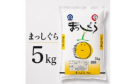 まっしぐら 精米 5kg【1753097】